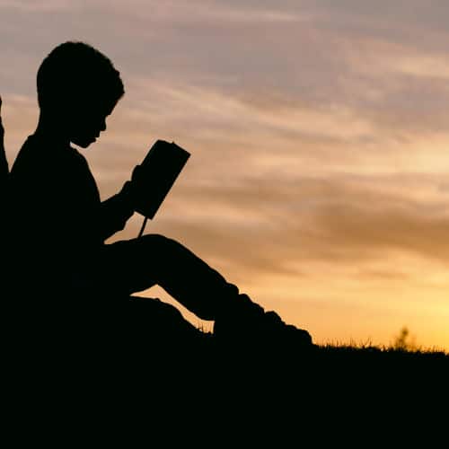 Child reading in the sunset
